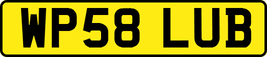 WP58LUB