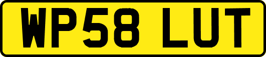 WP58LUT
