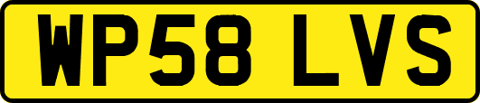 WP58LVS
