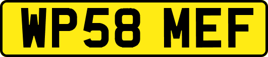 WP58MEF