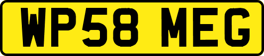 WP58MEG