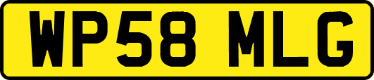 WP58MLG