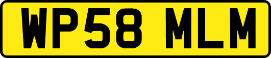 WP58MLM