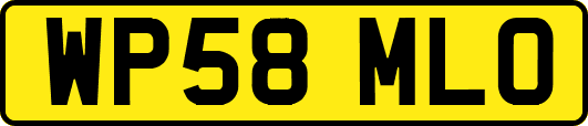 WP58MLO