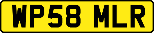 WP58MLR