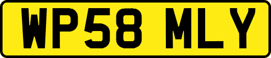 WP58MLY