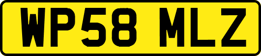 WP58MLZ