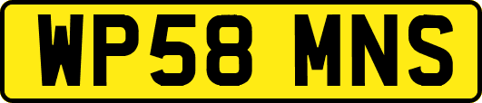 WP58MNS