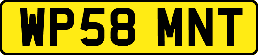 WP58MNT