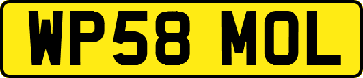 WP58MOL