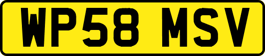 WP58MSV
