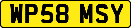 WP58MSY