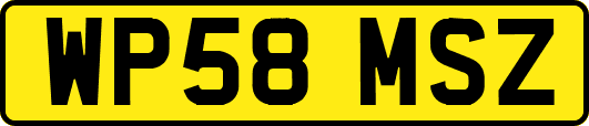 WP58MSZ