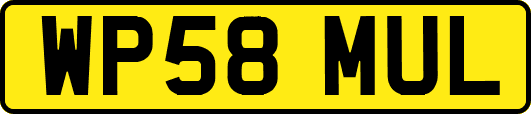 WP58MUL