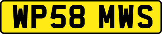 WP58MWS