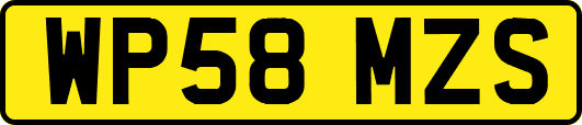 WP58MZS
