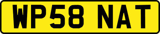 WP58NAT