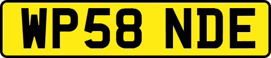 WP58NDE