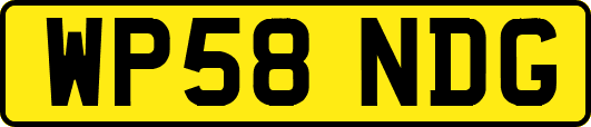 WP58NDG
