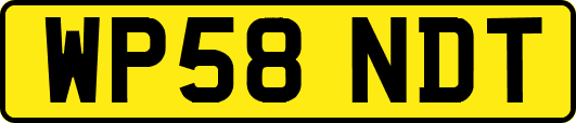 WP58NDT