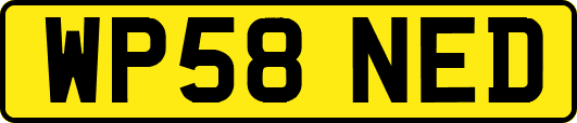 WP58NED