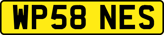 WP58NES