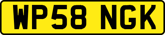WP58NGK