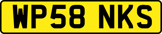 WP58NKS