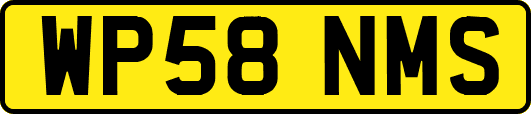 WP58NMS