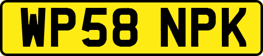 WP58NPK