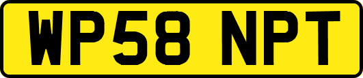 WP58NPT