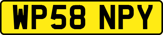 WP58NPY