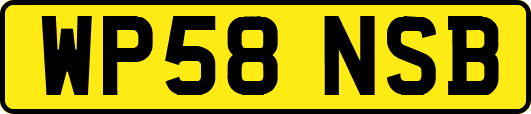 WP58NSB