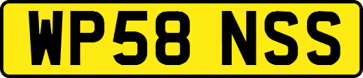 WP58NSS
