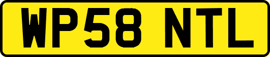 WP58NTL