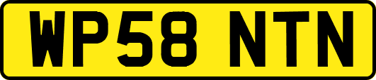 WP58NTN