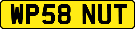 WP58NUT