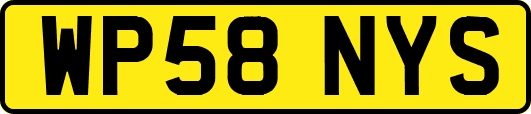 WP58NYS