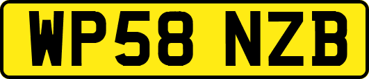 WP58NZB