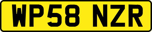 WP58NZR