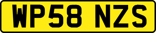 WP58NZS