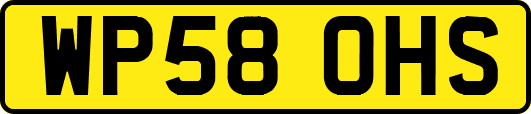 WP58OHS