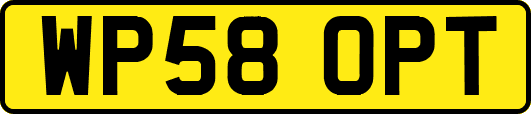 WP58OPT