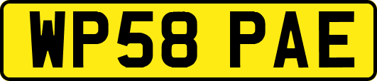 WP58PAE