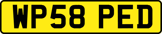 WP58PED