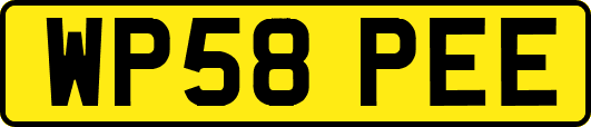 WP58PEE