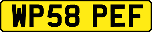 WP58PEF