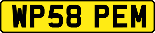 WP58PEM