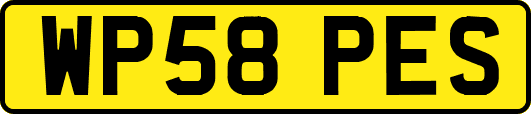 WP58PES