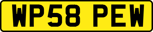 WP58PEW